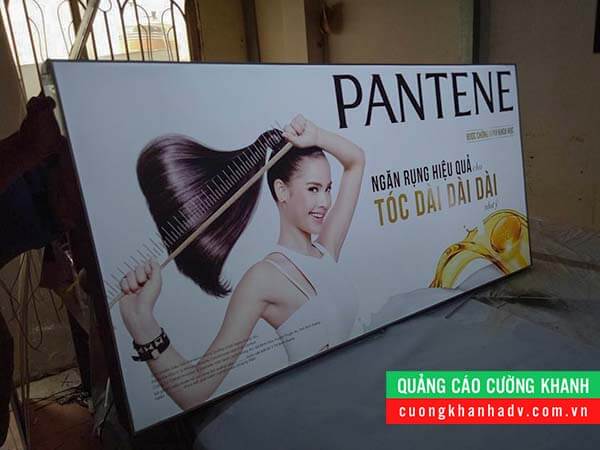 hộp đèn eefl
